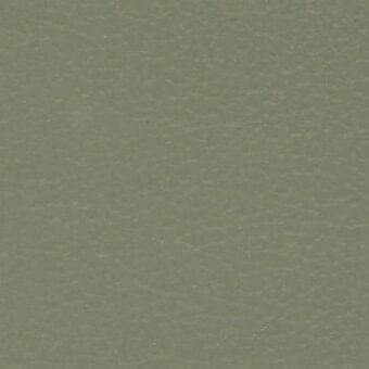 Luxor leather texture, muted green, matte finish; subtle grain with even tone, handcrafted quality, ditre italia lisbona 241 material.