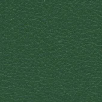 Dark green leather texture, smooth granular surface, natural grain, muted forest tone, showcasing Lisboa 242 material from Ditre Italia’s Luxor collection.
