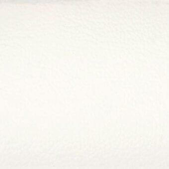 Leather sample, beige textured hide, natural grain pattern with matte finish; text identifies “ditre italia” manufacturer and “lisbona 259” product.