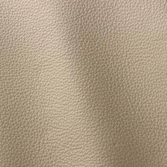Ditre Italia Polar 212 leather texture, light beige, fine granular grain with subtle tonal variations and a smooth, supple appearance.