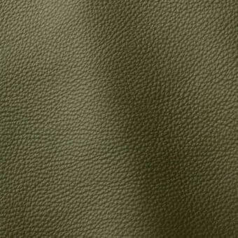 Ditre Italia Polar 257 leather texture, muted olive green, dense granular pattern, matte finish, natural distressed surface.