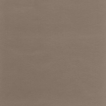 Leather texture sample, warm brown color, uniform grain pattern, smooth matte finish, even lighting, durable material.