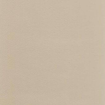 Beige leather texture sample with a pebbled grain, matte finish, and consistent pattern; displays “ditre italia” branding.