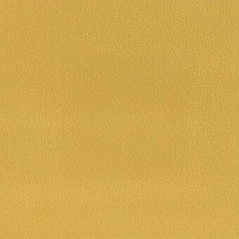 Granular mustard yellow texture fills the frame, exhibiting a subtle, uneven particle distribution and warm, muted golden hue under diffused lighting.