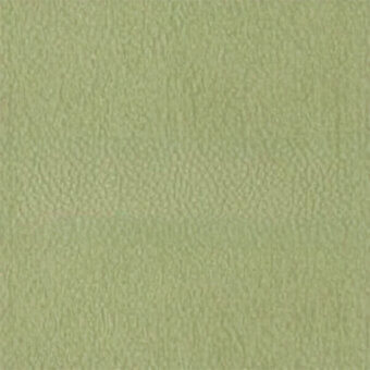 Green leather texture sample with granular nubuck finish, displaying a soft, desaturated sage tone and subtle surface irregularities.