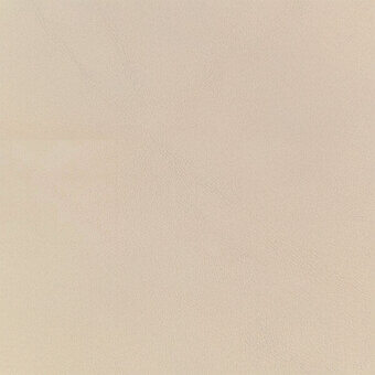 Light beige leather texture with fine grain, matte finish, and subtle wrinkles; egoitaliano bennu 8498 sample.