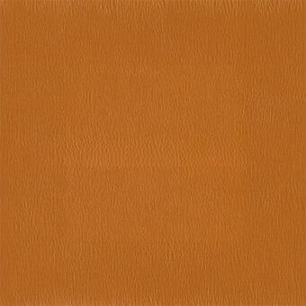 Orange-brown leather texture with vertical grain, showing a porous surface and subtle unevenness, studio lighting.