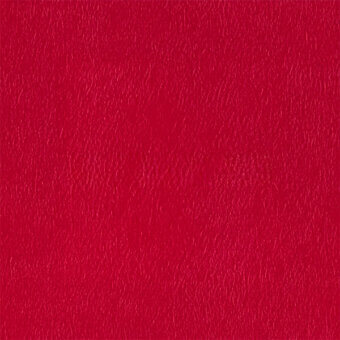 Red leather texture with irregular grain, vertical striations, and matte finish; “egoitaliano” brand sample labeled “bacio 3597”.