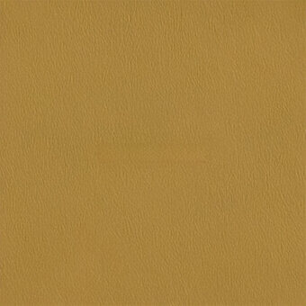 Golden-yellow leather texture with a mottled grain, polished sheen, and uniform surface; features “egoitaliano carezza 255” imprint.