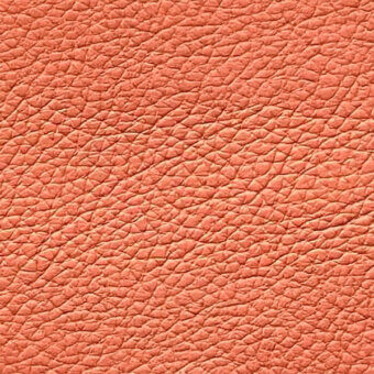 Salmon leather texture, full-grain hide, dense patterned grain with irregular lines and matte finish; egoitaliano nibe 4455.