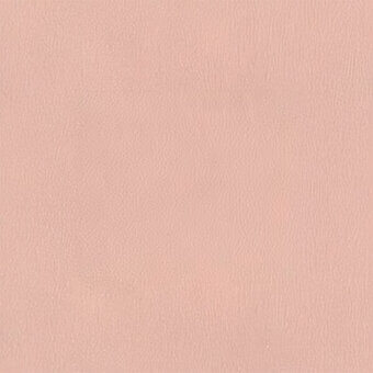 Pale blush pink leather texture with a subtle vertical grain, smooth sheen finish, identified as egoitaliano nuvole 5020.