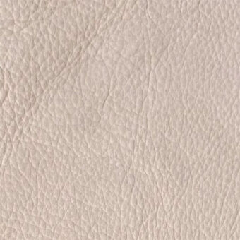 Light beige pebble-grain leather texture sample against white, displaying irregular bumps and a matte finish; labeled “egoitaliano rio 1142”.