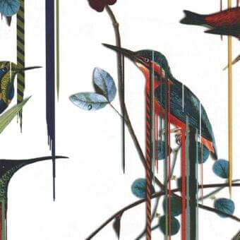 Repeating bird pattern with kingfisher, hummingbirds, leaves, and branches in teal, red, green, and brown with overlaid vertical lines on white.