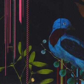 Stylized bird illustration on a branch, featuring blue plumage, red throat, black fragmented head, green leaves, pink and red lines, black background.