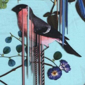 Botanical illustration of a bullfinch with pink and black feathers on a turquoise background, overlaid with vertical stripes and green leaves.