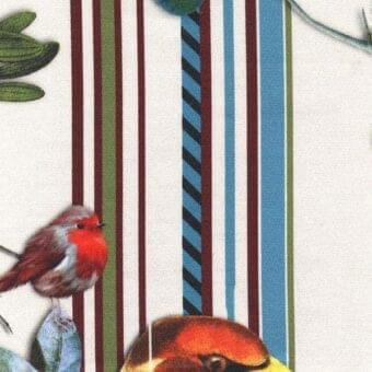 Fabric swatch with bird and fruit illustration, white background, vertical stripes of burgundy, olive, blue, and textured weave.