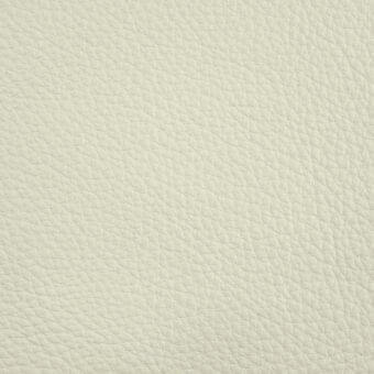 Cayman leather texture sample, ecru pebble grain, consistent matte finish, dense uniform grain, warm neutral tone, erba collection.