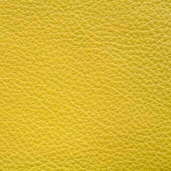 Lemon grass leather texture with a densely pebbled grain and smooth, glossy finish against a white backdrop.