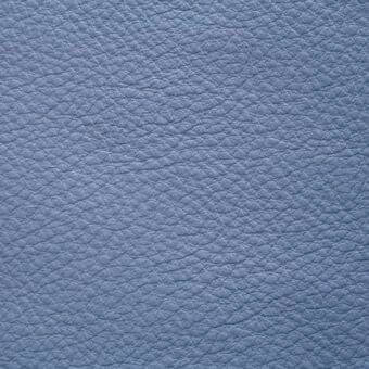 Light blue pebble-grain leather texture with a matte finish, displaying a dense network of small creases; identified as “ascot steel bird”.
