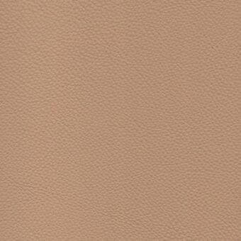 Buff leather texture with fine grain, matte finish; consistent color with tonal variation, from the Erba leather collection.