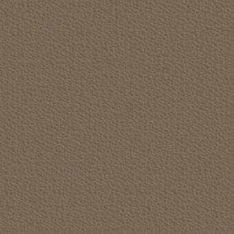 Taupe leather texture with irregular pores, a matte finish, and subtle grain variations; identified as erba crystal gesso leather.