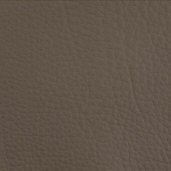 Brown leather texture sample, intricate grain pattern, matte finish, from the erba collection leather (c) crystal range.