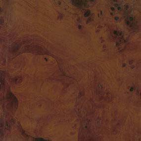 Elm veneer texture, warm reddish-brown tone, swirling grain with burl formations and matte finish, formitalia material sample.