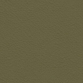 Mottled green texture with granular finish, muted olive tone, and irregular bumpy surface creating a matte, tactile appearance.