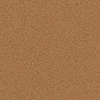 Biscuit leather texture, fine-grained surface with irregular lines, warm muted brown color, matte finish, identified as tiepolo biscuit 450.