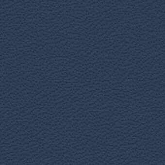 Blue leather texture with a granular, embossed finish; consistent saturated color and diffused lighting highlight material quality.