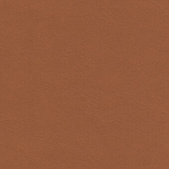 Caramel leather texture sample, mottled grain, warm medium brown tone, matte finish, durable quality, classic aesthetic.