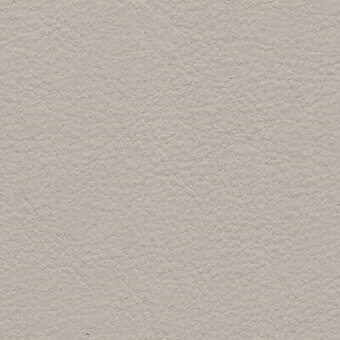 Light gray leather texture with fine granular mottling, uneven indentations, and a matte finish; identified as “frag > leather > tiepolo > opal 224.”