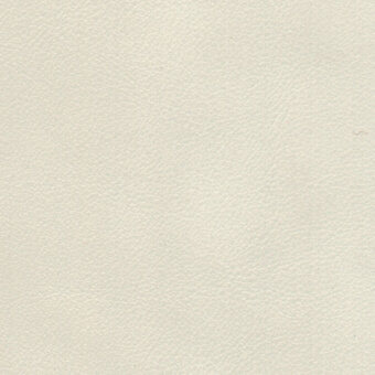 Tiepolo 228 leather texture, oyster white, fine grain pattern, matte finish, subtle tonal variations, natural leather appearance.