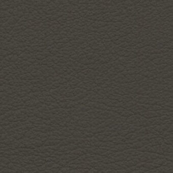 Dark green pebbled leather texture with a matte finish and granular surface displaying small, irregular bumps throughout.
