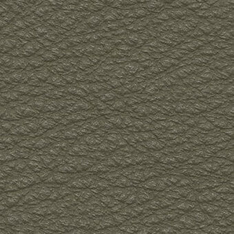 Birch green pebble grain texture, 816, displays a mottled, irregular pattern with a matte finish and subtle depth variation.