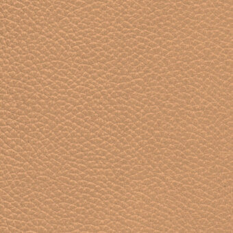 Cinnamon leather texture with a dense pebbled grain, displaying a warm muted tone and matte finish; identified as raffaello cinnamon 405.
