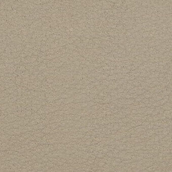 Pine bark texture, desaturated beige and gray, granular matte surface with mottled tone variations resembling natural leather.