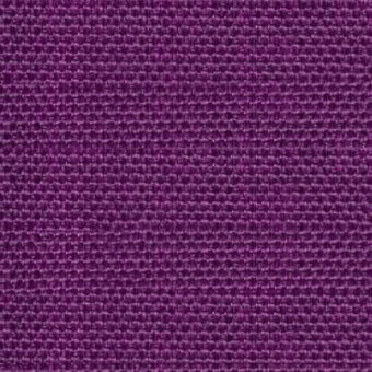 Purple - cod 16_1