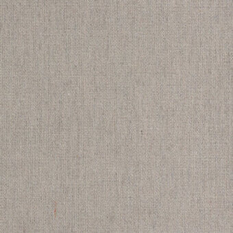 Papyrus - cod 18006