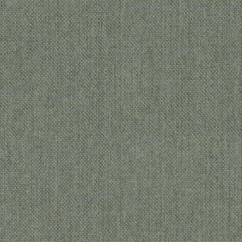 Agave - cod P097
