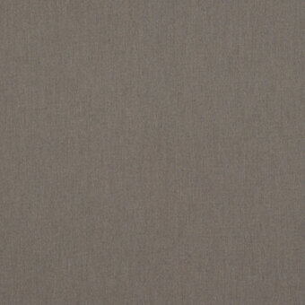 Carbon Beige - cod 10065