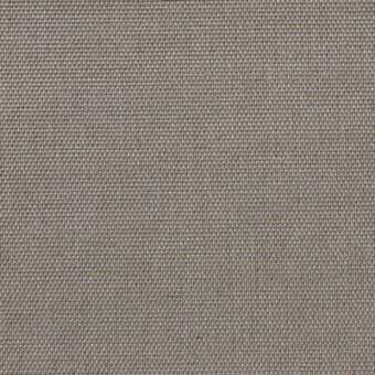 Seppia - cod 19
