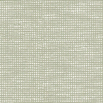 Spirea - cod 19107