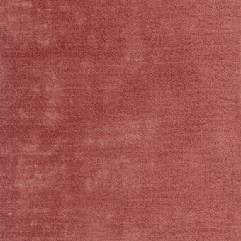 clay-verso