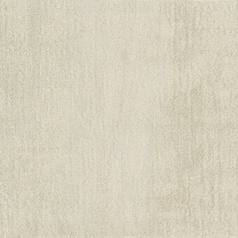 ivory-verso