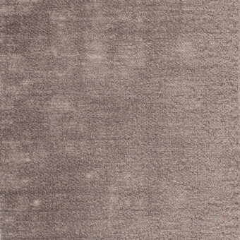 taupe-verso