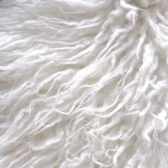 angora-white
