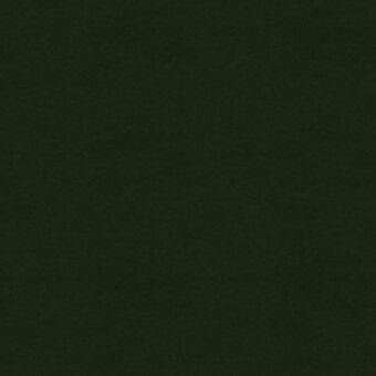 Giorgetti TX Duchessa 5249 Felce WR fabric swatch, muted green woven textile with matte finish and subtle, uneven texture.