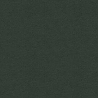 Giorgetti fabric swatch, muted green textile, visible weave with matte finish and product label displaying “tx duchessa 5253 laguna wr”.