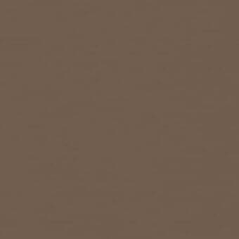 Warm medium brown color field, matte finish, uniform tone, consistent hue, no texture, solid background sample, neutral color palette.